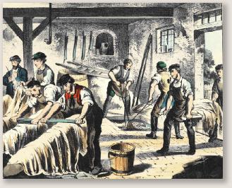 Tannery1880