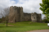 Chepstow Castle